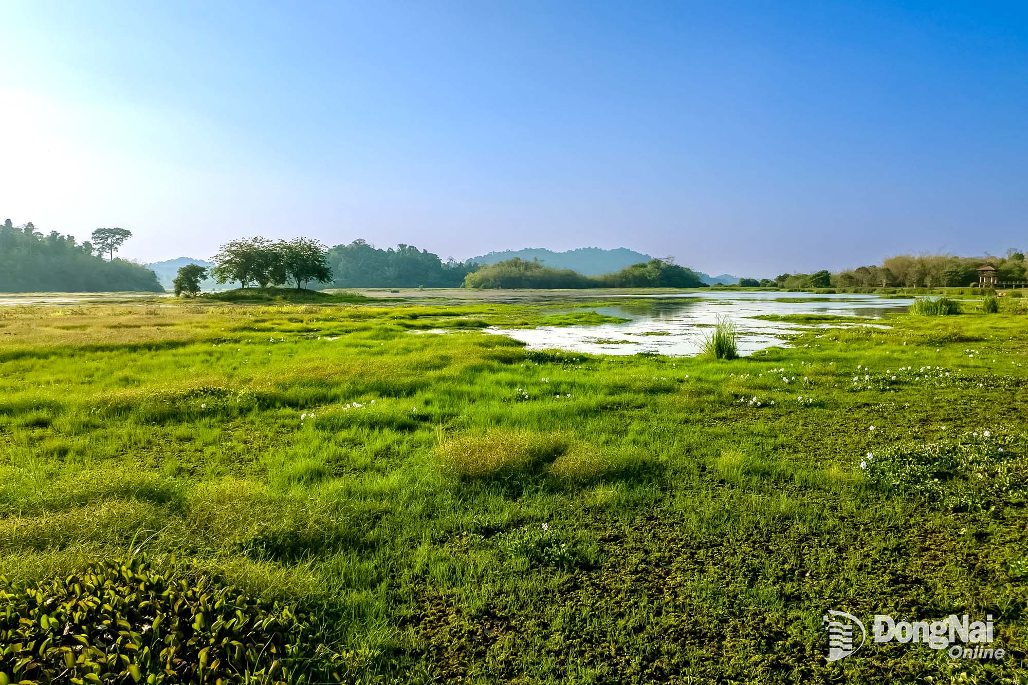Bau Sau lies in a lowland area within the core zone of one of Vietnam’s most important tropical rainforests. Photo: Oxalis