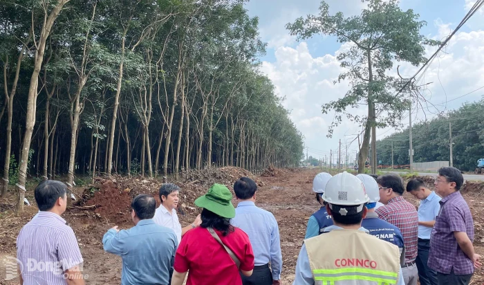 Standing members of Dong Nai City People's Council oversee progress of key projects and works