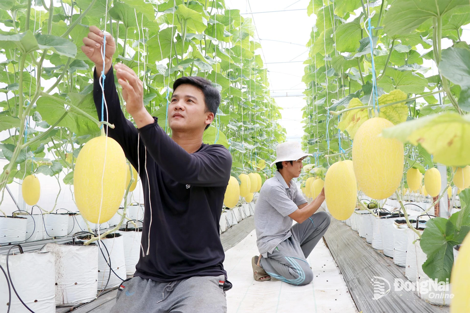 Young people embrace clean farming