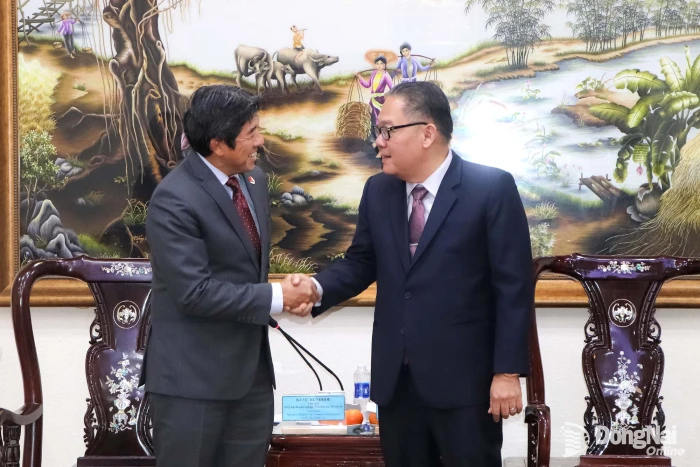 Dong Nai attracts strong FDI inflows