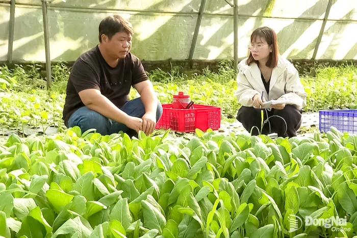 Đồng Nai: Số hóa sản xuất, nâng tầm giá trị nông sản
