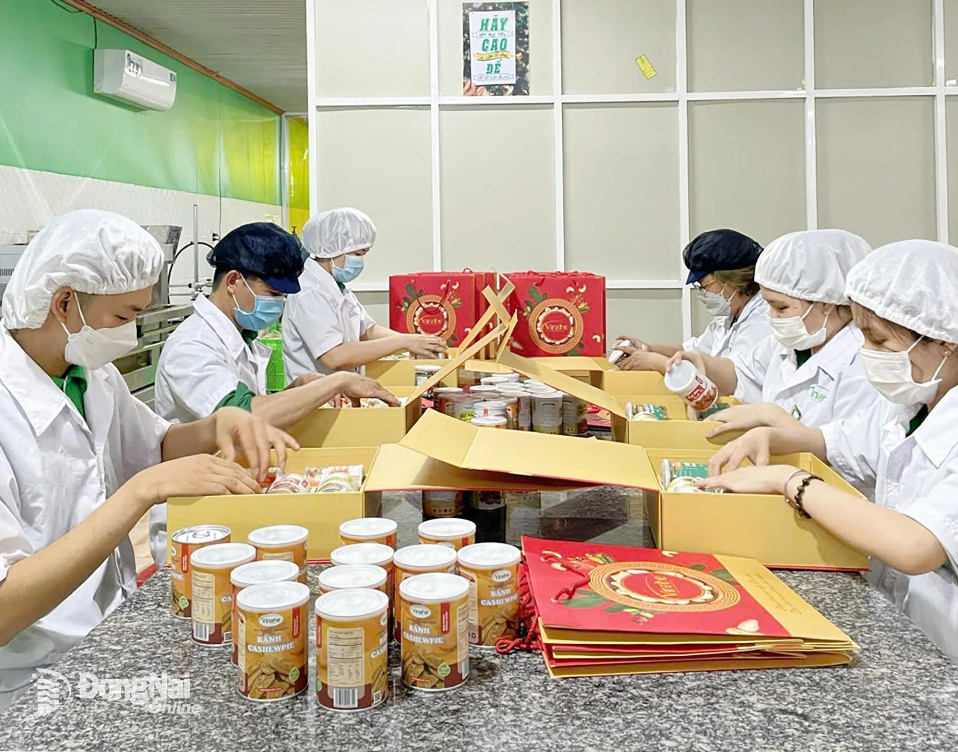 Cashew nut production at Vinahe Co., Ltd.

