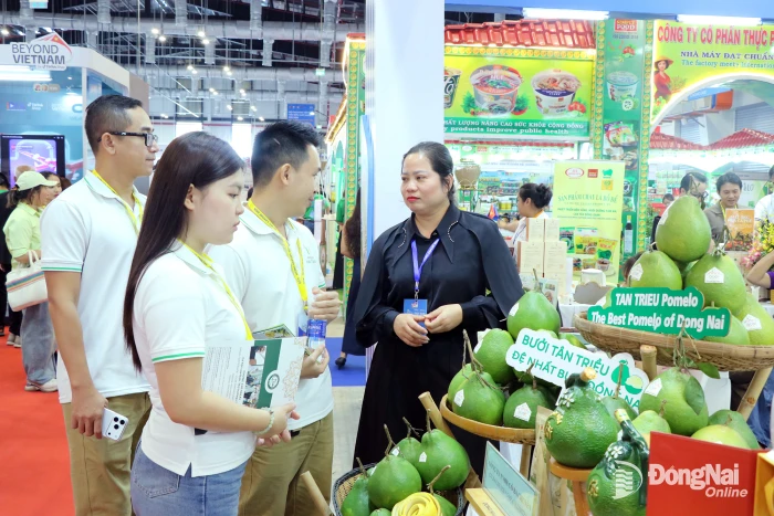 Hàng Việt liên kết xuất khẩu xanh