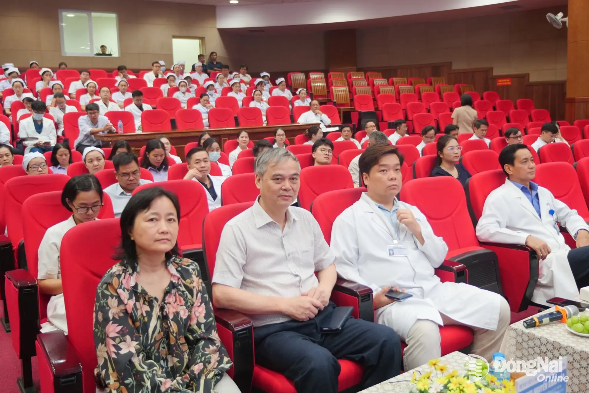 Experts and delegates attend the seminar. Photo: Hanh Dung


