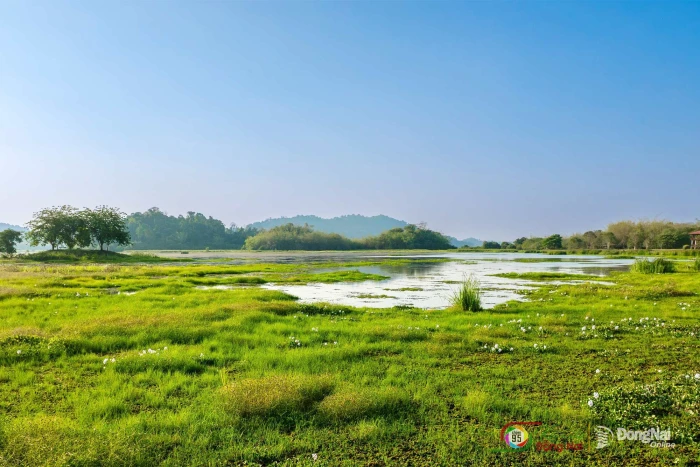 Vườn quốc gia Cát Tiên sẵn sàng cho chương trình Vietnam Wild Live mùa 2 của Đài Truyền hình Việt Nam