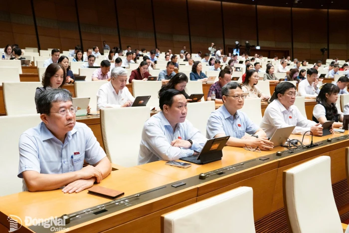 Đoàn Đại biểu Quốc hội thành phố Đồng Nai tham gia thảo luận các dự án luật quan trọng về xã hội