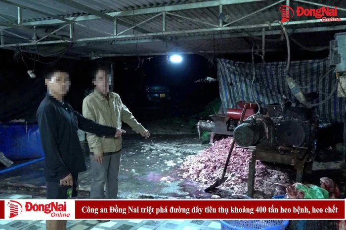 [Video] Công an Đồng Nai triệt phá đường dây tiêu thụ khoảng 400 tấn heo bệnh, heo chết