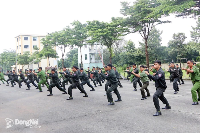 Tổng kết công tác huấn luyện trung đoàn cảnh sát cơ động dự bị chiến đấu năm 2026