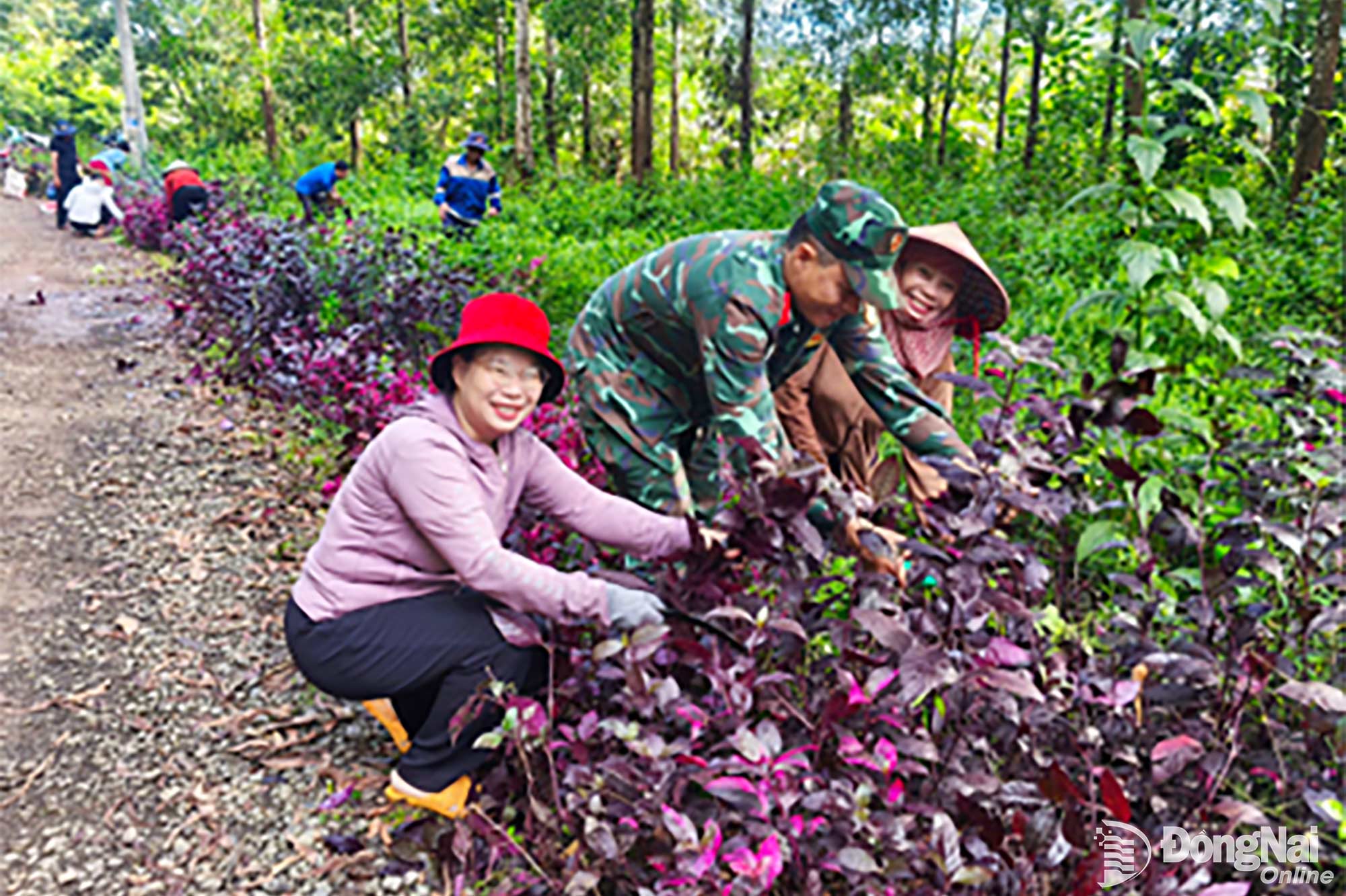 Lực lượng vũ trang cùng nhân dân tích cực chỉnh trang, làm sạch cỏ tuyến đường hoa nông thôn. Ảnh: Hà Nội