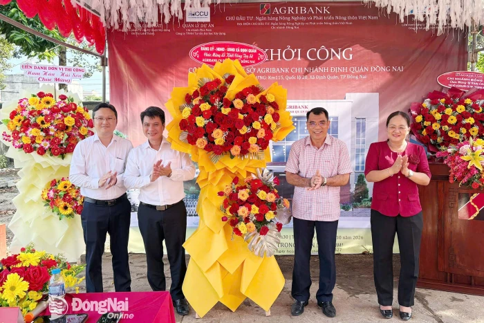 Nhịp sống địa phương trưa 29-10-2026