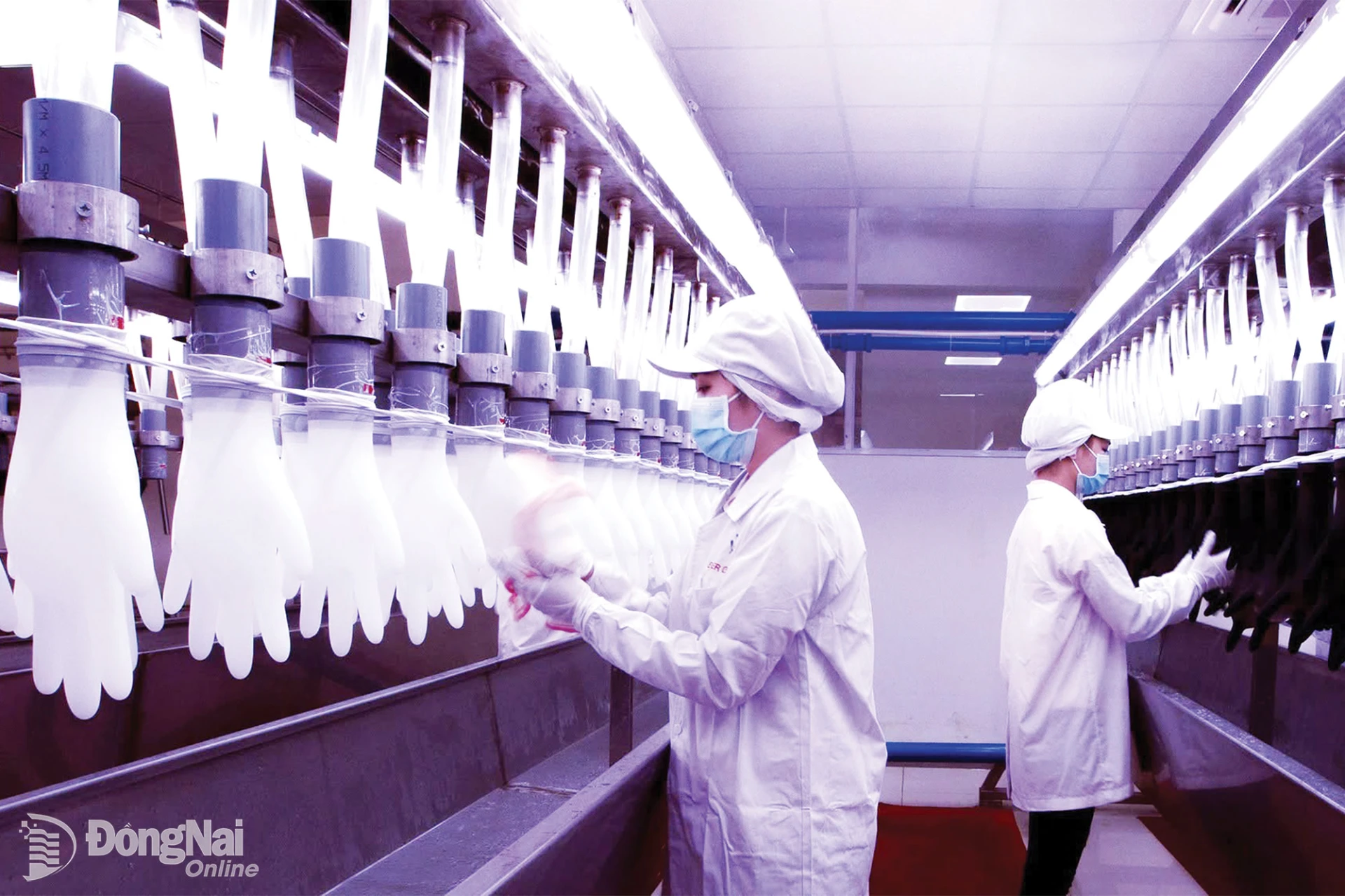 Nguyen Van Hoa’s work “Medical Glove Inspection” won first prize at the 2026 Radiant Binh Minh Photo Contest.

