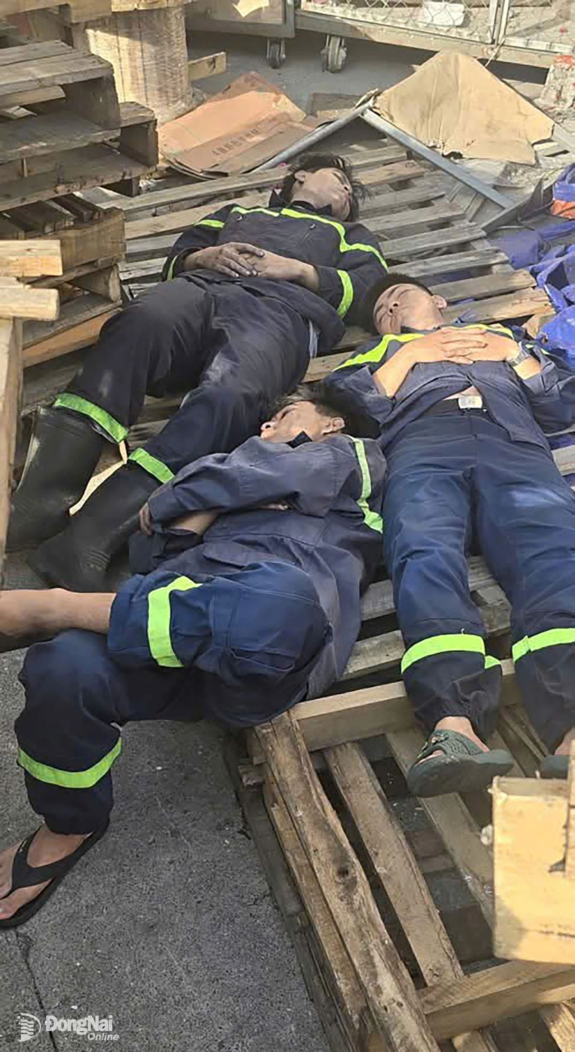 Những tấm pallet gỗ trở thành nơi ngả lưng nghỉ ngơi của các chiến sĩ sau những giờ làm nhiệm vụ. Ảnh: Tư liệu đơn vị.