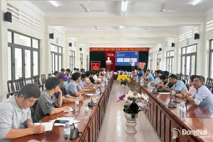 Nhịp sống địa phương ngày 22-10-2026