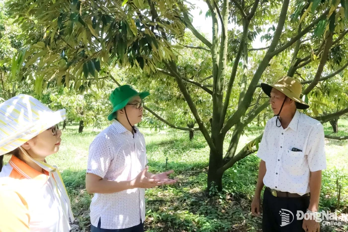 Thanh Sơn xây dựng thương hiệu nông sản thế mạnh