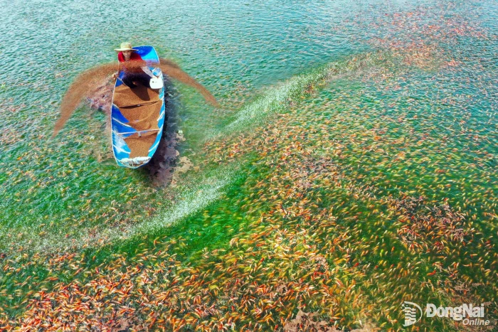 Capturing rhythm of life through artist Nguyen Van Hoa’s lens