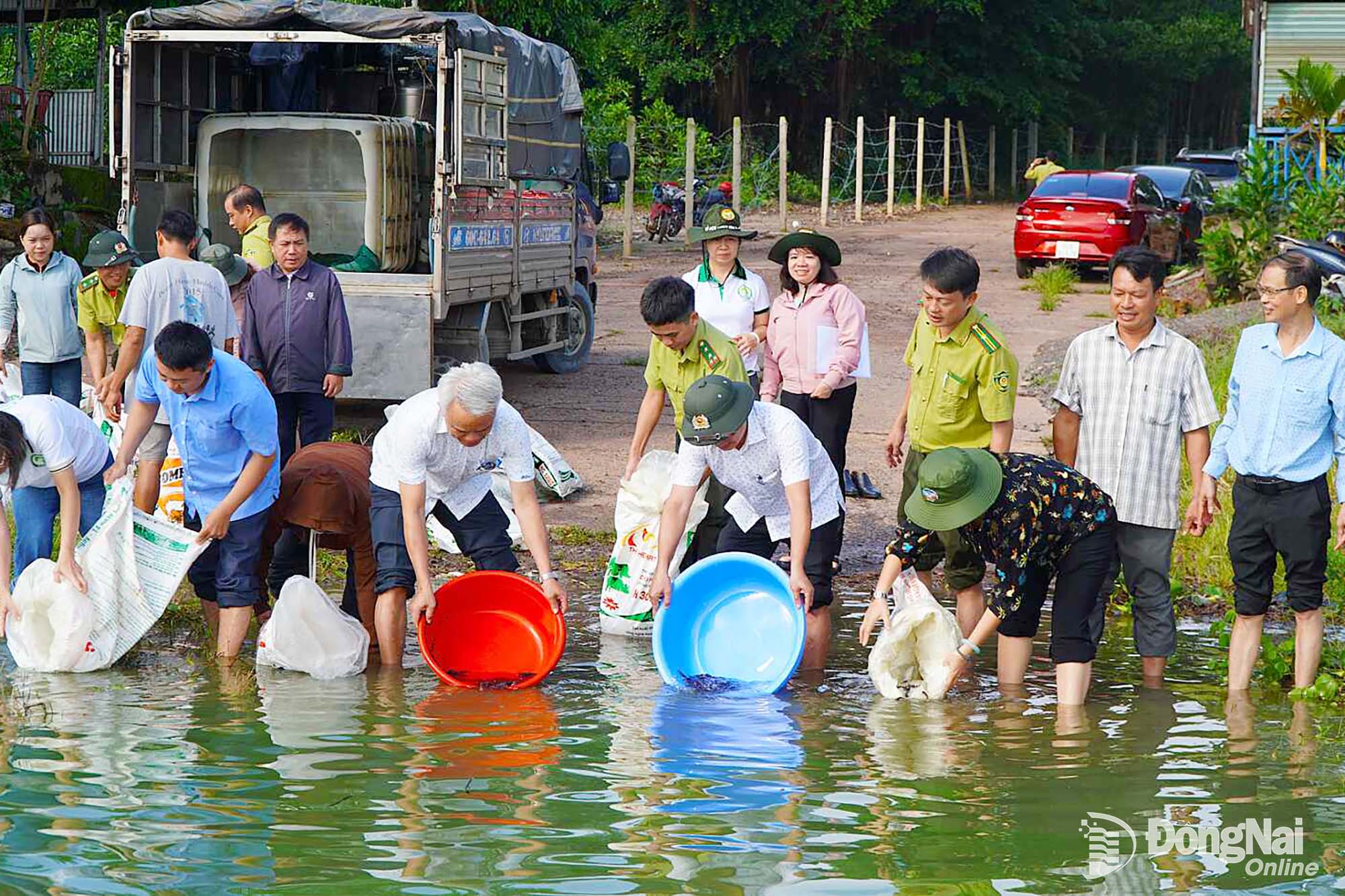 Chương trình thả cá giống bổ sung nguồn lợi thủy sản hồ Trị An của Khu Bảo tồn thiên nhiên - văn hóa Đồng Nai.

