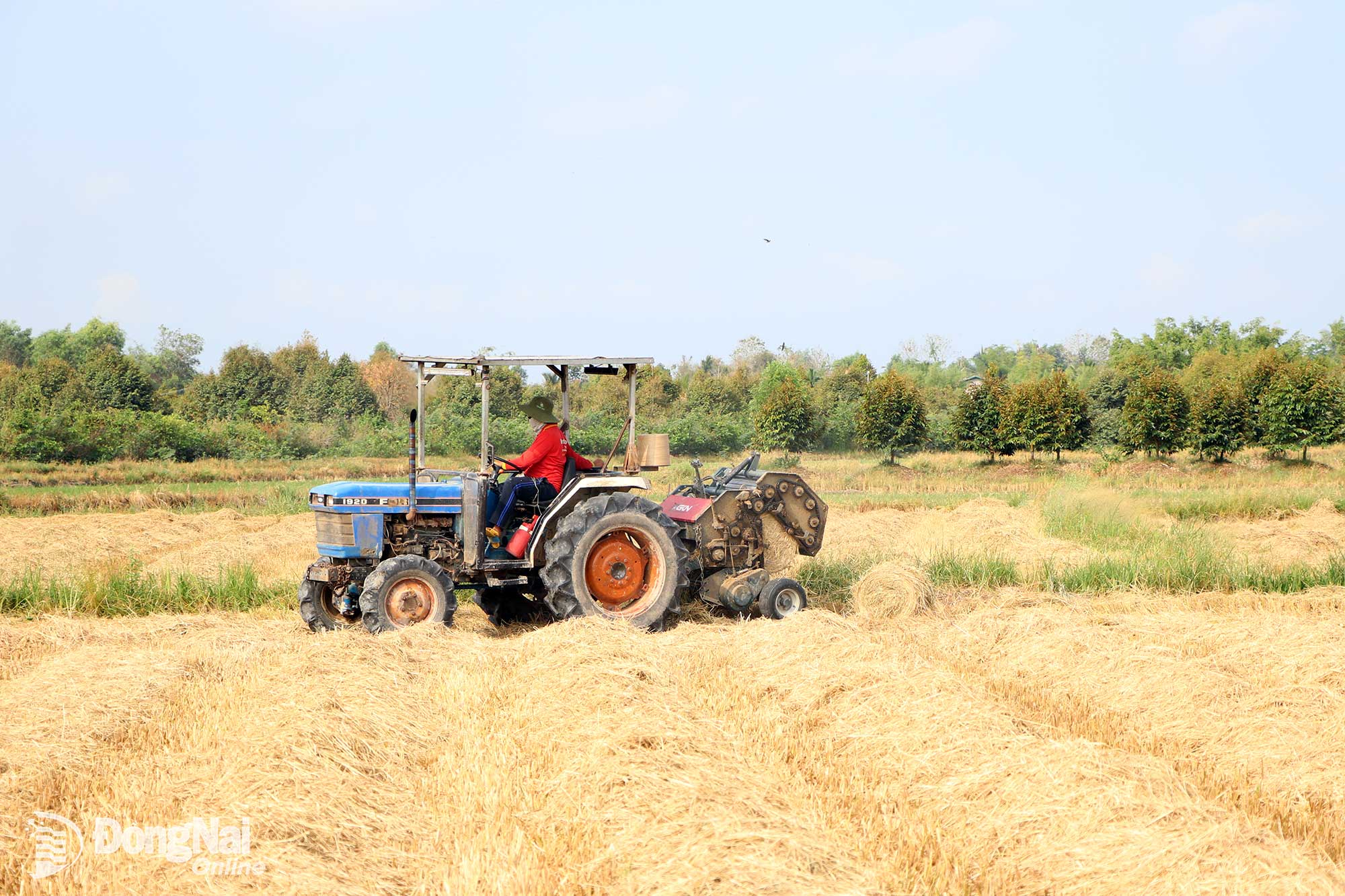 Ipm Automtion Dong Nai: Farmers apply science, technology to add value to ...