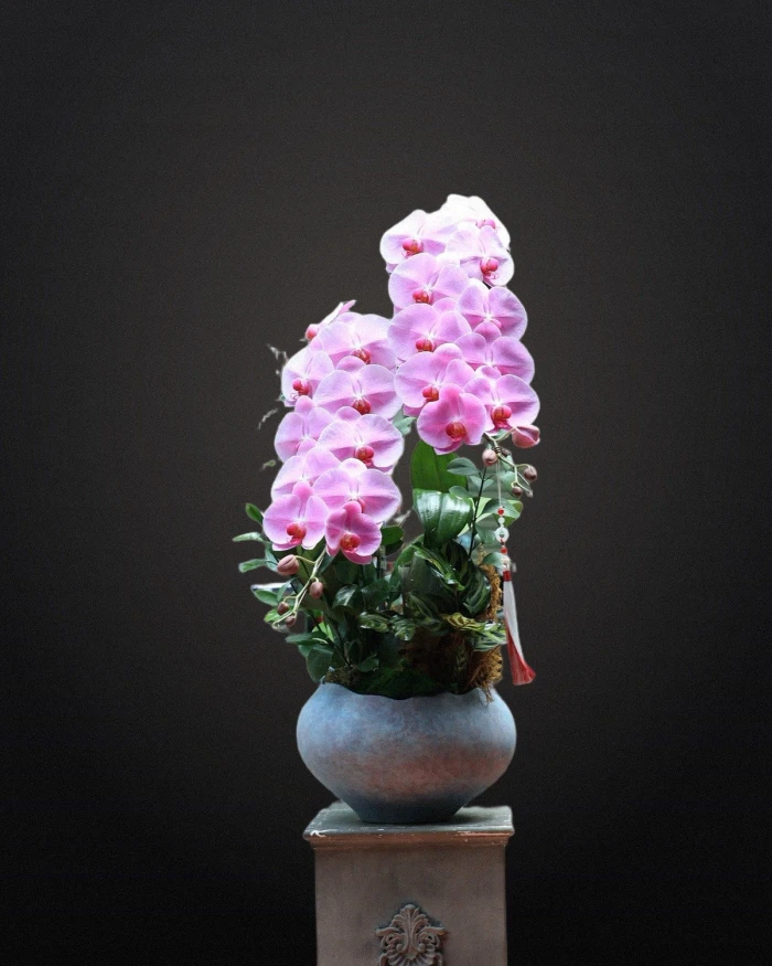 Chọn hoa mừng khai trương theo không gian: Văn phòng, cửa hàng, nhà hàng, showroom