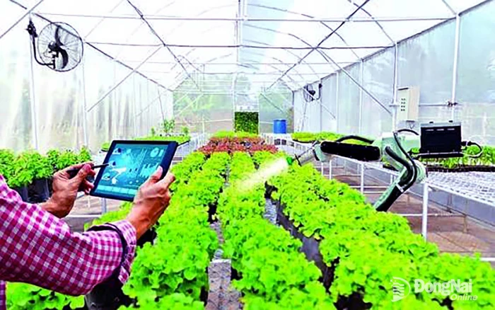 Cho vay vốn lĩnh vực ứng dụng công nghệ cao 7,2 ngàn tỷ đồng