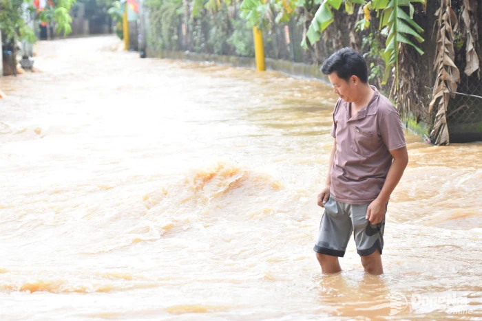 Nước sông Buông dâng cao, khu dân cư tại phường Phước Tân lại bị ngập