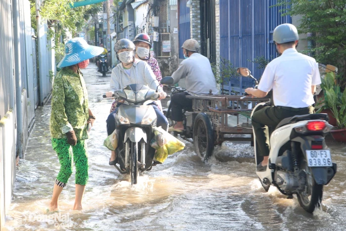 Triều cường sông Cái dâng cao, khu dân cư tại phường Tam Hiệp bị ngập cục bộ