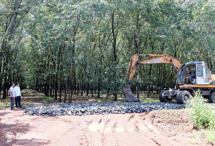 Long Hà tạo sinh kế, giữ bình yên