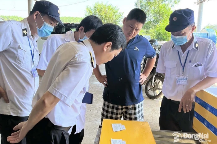 Kiểm tra các cơ sở chăn nuôi heo vỗ béo tại phường Trị An