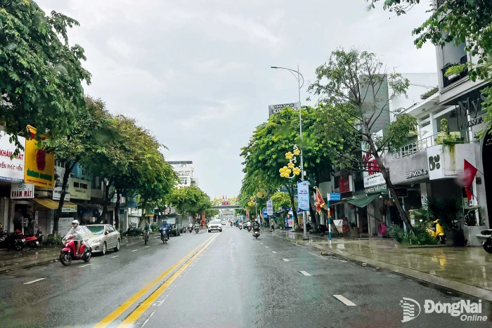 Đồng Nai: Khả năng xuất hiện đợt mưa diện rộng