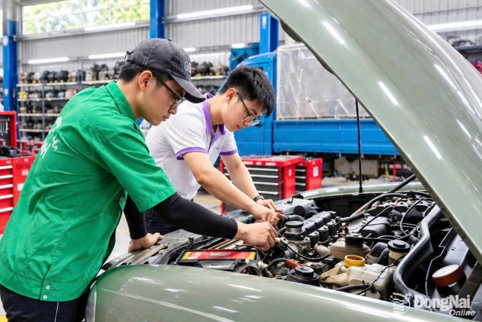 Chú trọng đào tạo nhân lực đáp ứng nhu cầu thị trường lao động