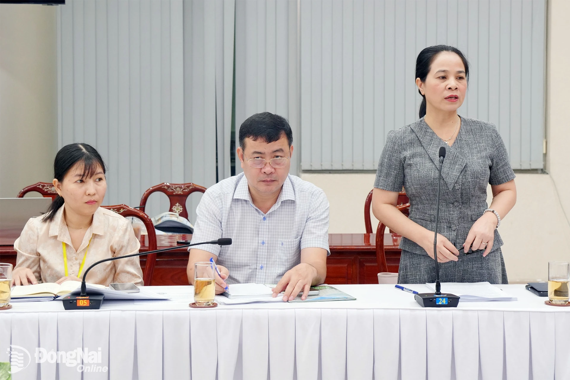 Giám đốc Sở Y tế Đỗ Thị Nguyên báo cáo việc sắp xếp các trung tâm y tế khu vực. Ảnh: Hạnh Dung