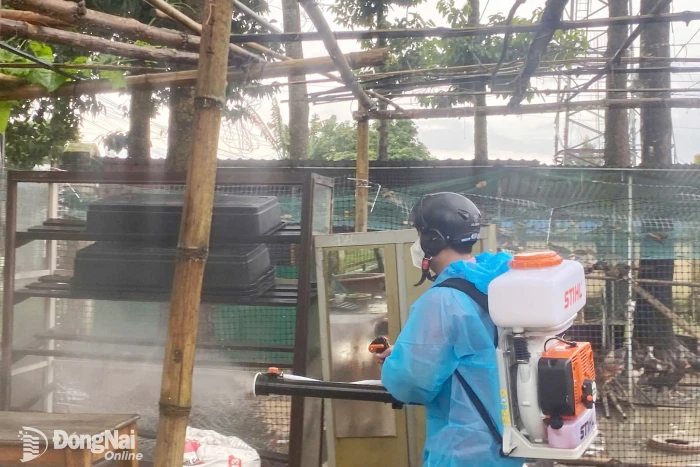Sốt xuất huyết diễn biến phức tạp, nguy cơ bùng phát diện rộng