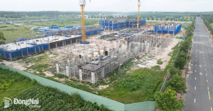 Over 1,100 social housing apartments in Nhon Trach Ward cleared for sale