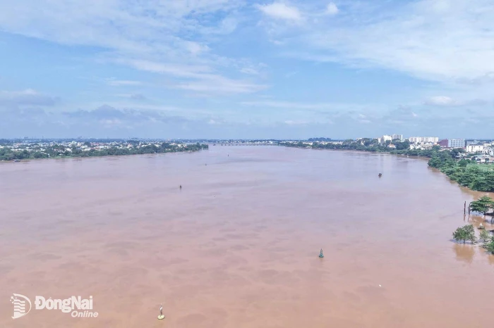 Triều cường tại trạm Biên Hòa có khả năng vượt báo động 2