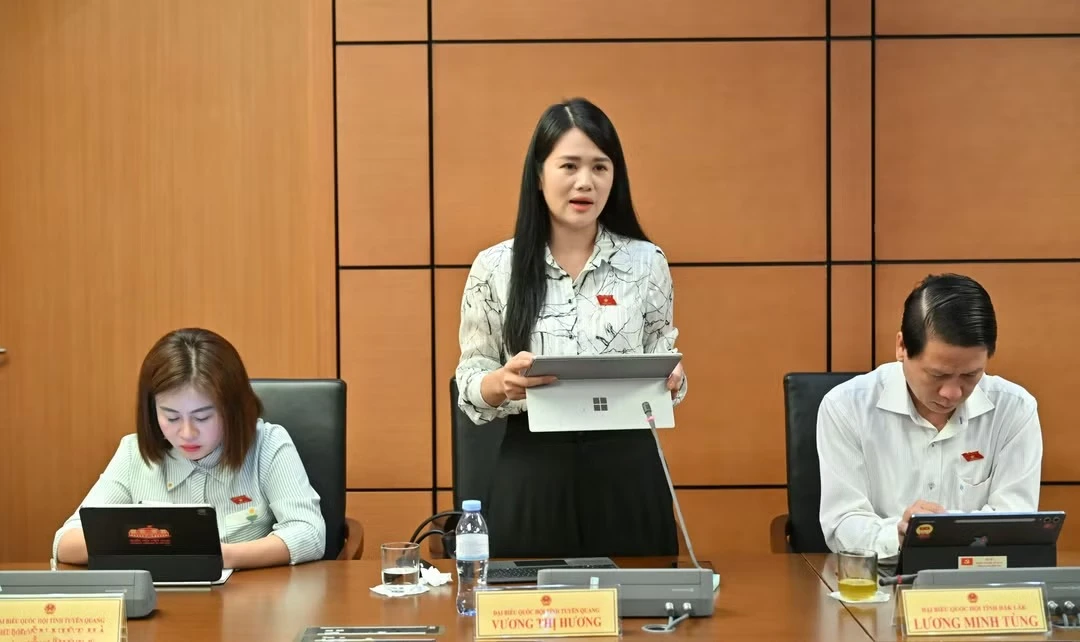 Đại biểu Quốc hội Vương Thị Hương.