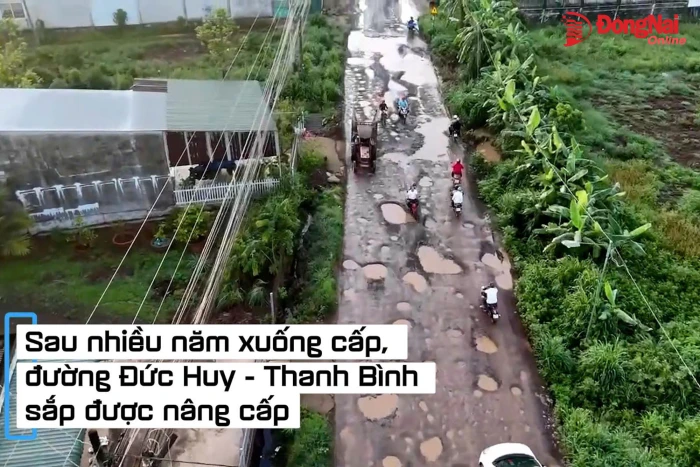 [Video] Sau nhiều năm xuống cấp, đường Đức Huy - Thanh Bình sắp được nâng cấp