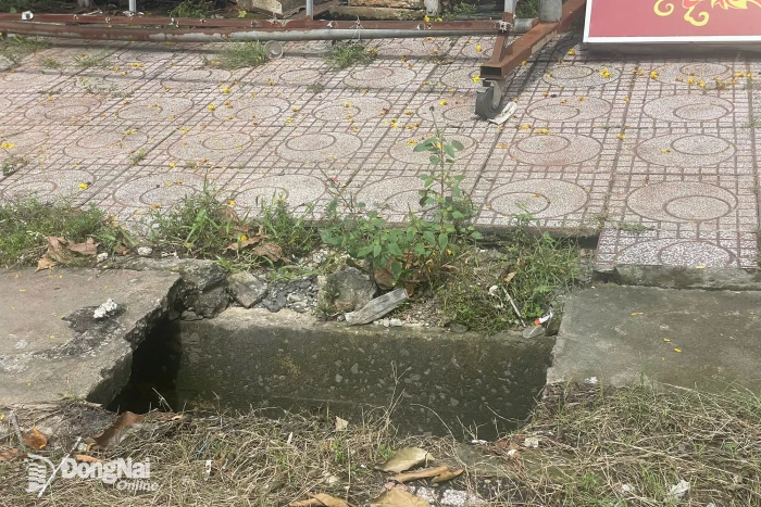 Nắp cống hở tiềm ẩn nguy cơ mất an toàn