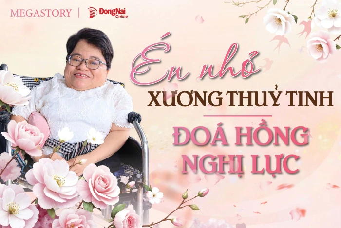 [Megastory] Én nhỏ xương thủy tinh - đóa hồng nghị lực