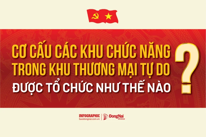 [Infographic] Cơ cấu các khu chức năng trong khu thương mại tự do được tổ chức như thế nào?
