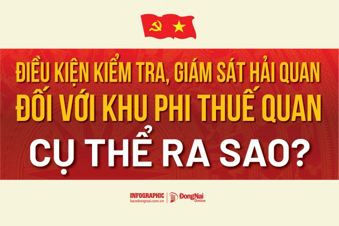 [Infographic] Điều kiện kiểm tra, giám sát hải quan đối với khu phi thuế quan cụ thể ra sao?