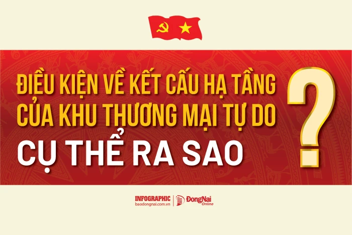 [Infographic] Điều kiện về kết cấu hạ tầng của khu thương mại tự do cụ thể ra sao?