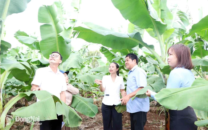 Phát huy giá trị nguồn quỹ hỗ trợ nông dân