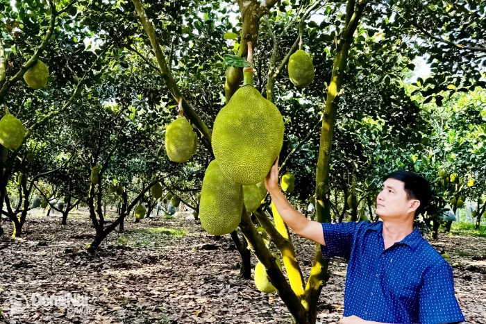 Những xã nông thôn mới đầu tiên của thành phố