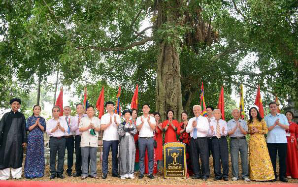 TS Nguyễn Ngọc Sinh trong hoạt động tôn vinh Cây di sản