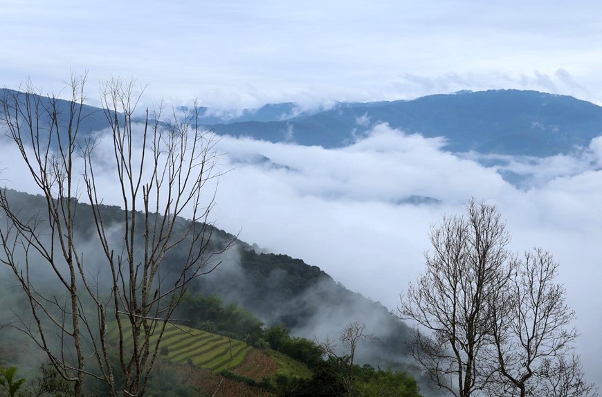 White clouds cover terraced rice fields interwoven through majestic mountains.