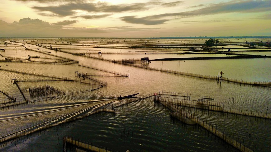 The lagoon is filled with fish traps made from bamboo and netting.