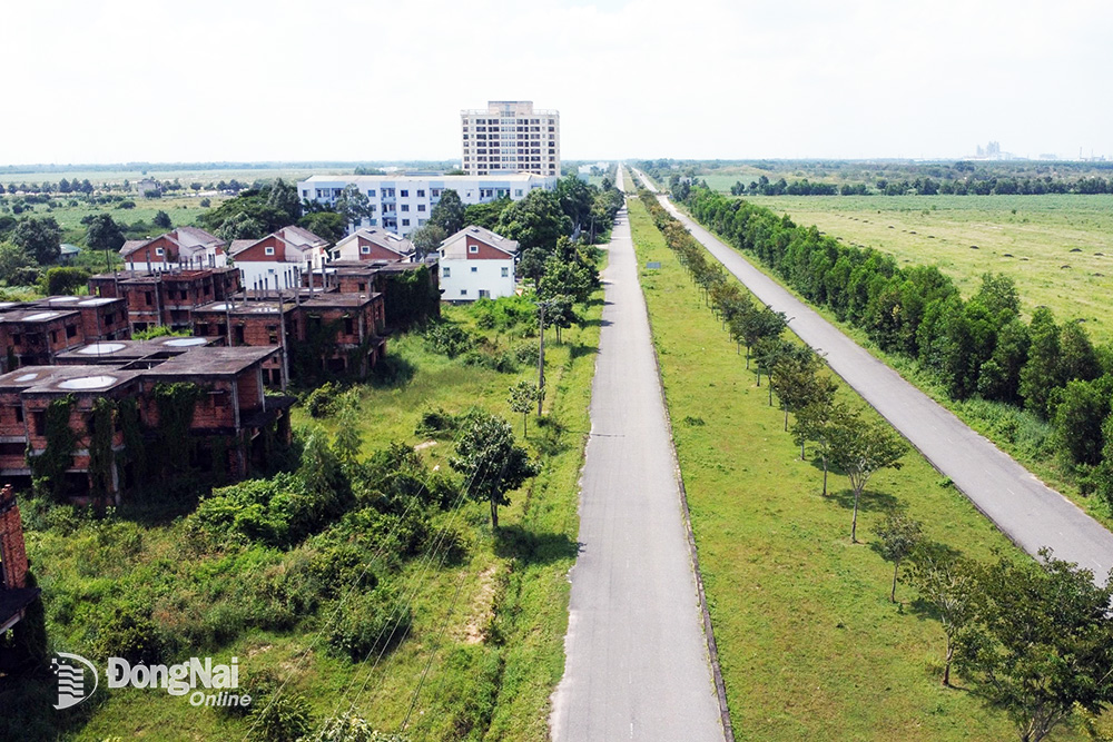 Một dự án bất động sản dở dang nhiều năm ở H.Nhơn Trạch. Ảnh: L.An