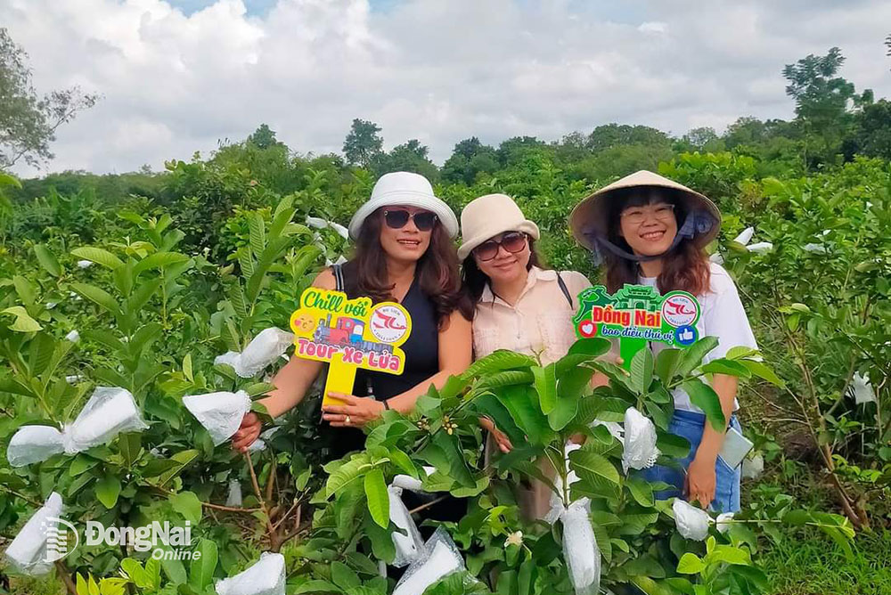 Hợp tác cùng Công ty Du lịch Thái Loan (TP.Biên Hòa) khai thác du lịch sinh thái