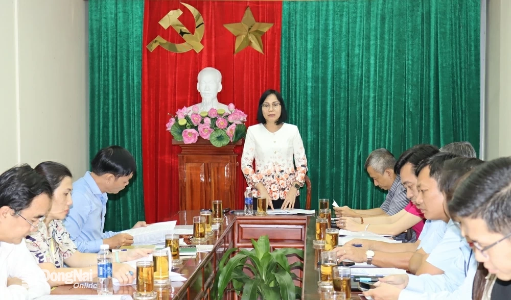 Phó chủ tịch UBND tỉnh Nguyễn Thị Hoàng phát biểu tại buổi làm việc