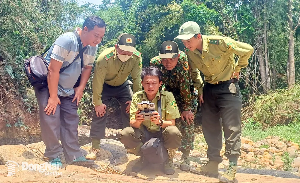 
Ông Võ An Giang (ngồi) cùng đồng đội thực hiện tuần tra bảo vệ rừng.