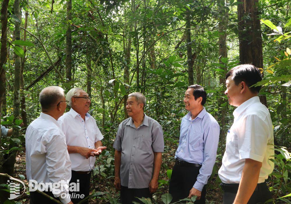 Lãnh đạo tỉnh, Khu bảo tồn và các cựu lãnh đạo, nhà khoa học tham quan không gian thiên nhiên tại Khu Bảo tồn. Ảnh: Ngọc Liên